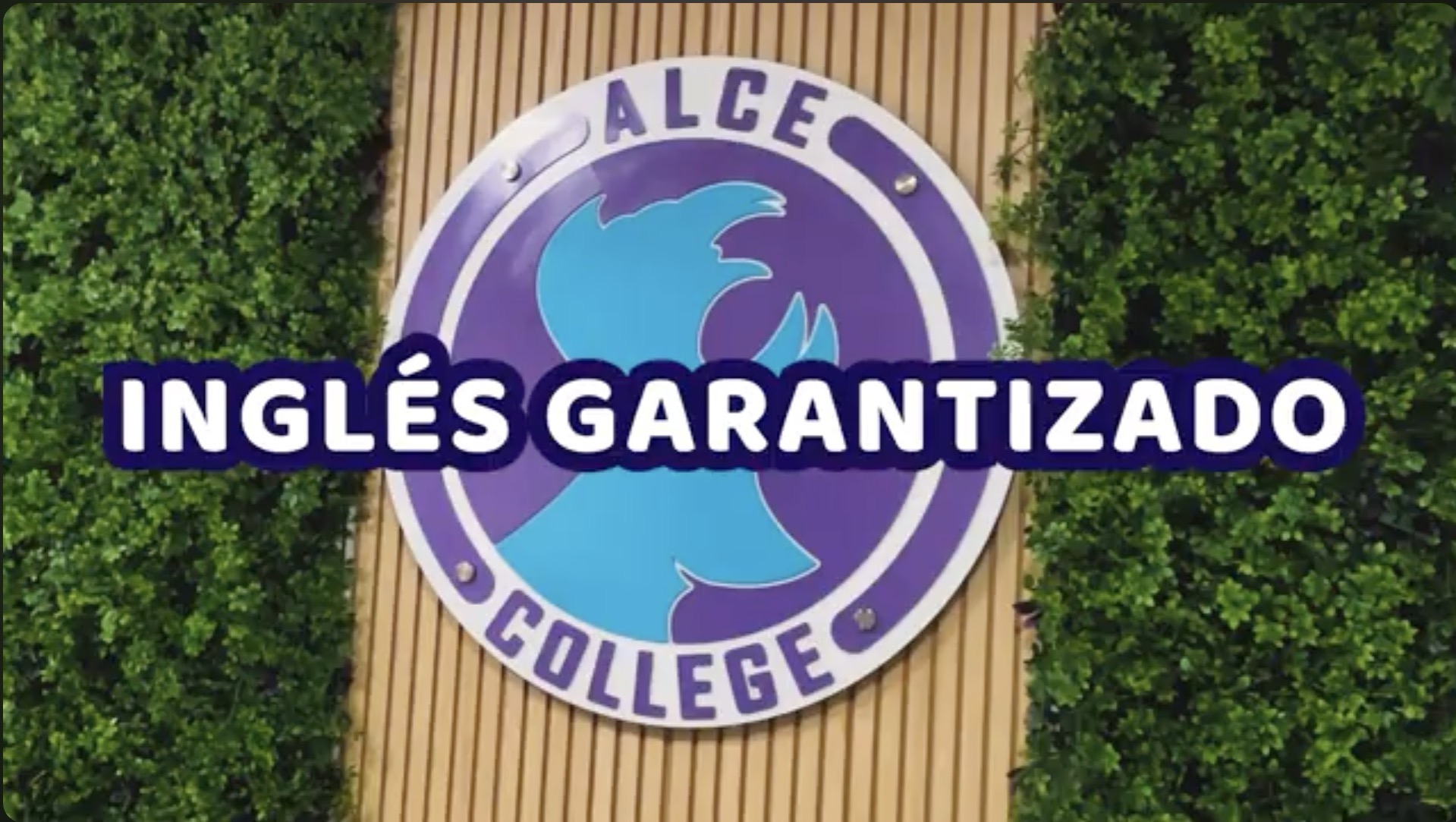 Testimonio Alce College